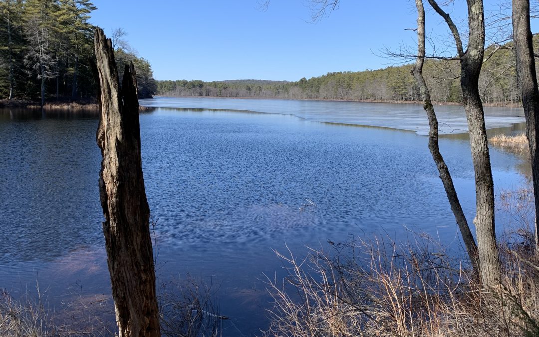 The Way of Wind and Stream